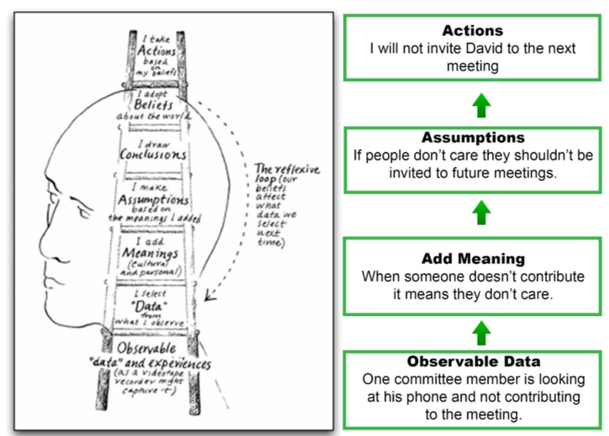 The ladder of inference