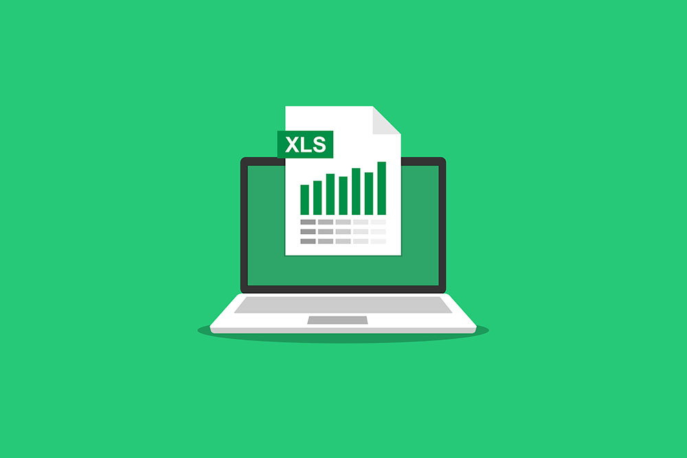Spreadsheet files on laptop screen. financial accounting report concept